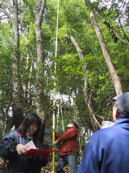 現場での植生調査