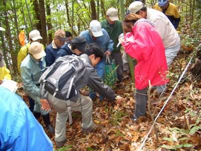 現場での植生調査