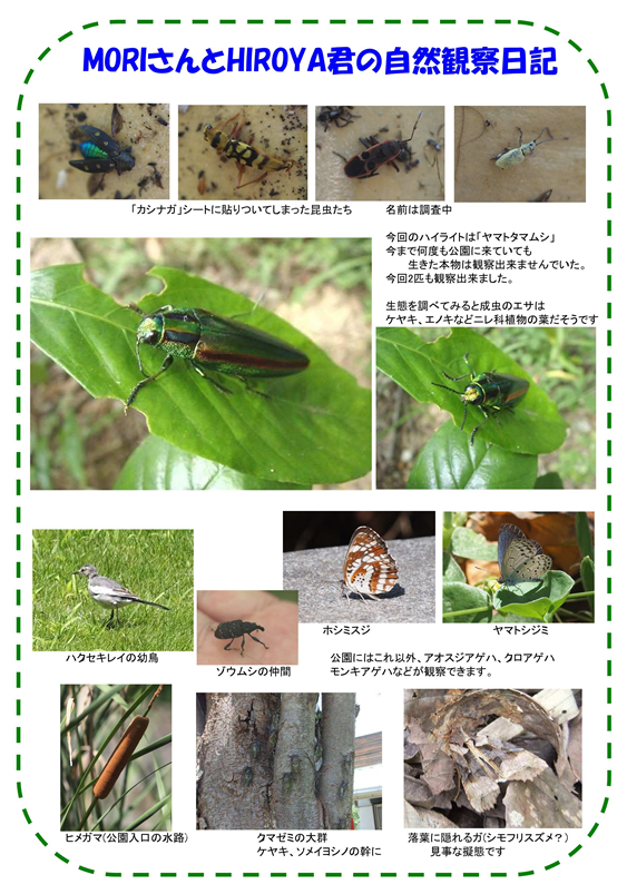 20110828_lifestyle_img02.jpg