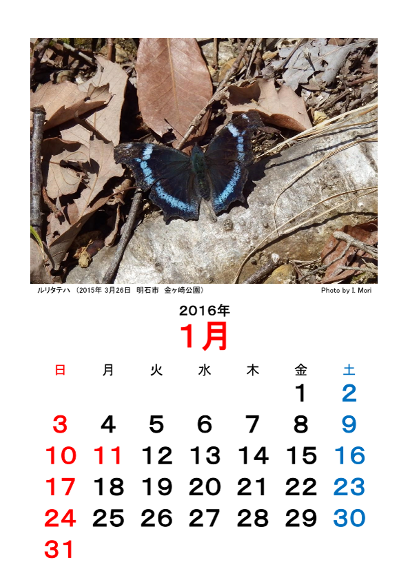 2016カレンダー昆虫Ver.png