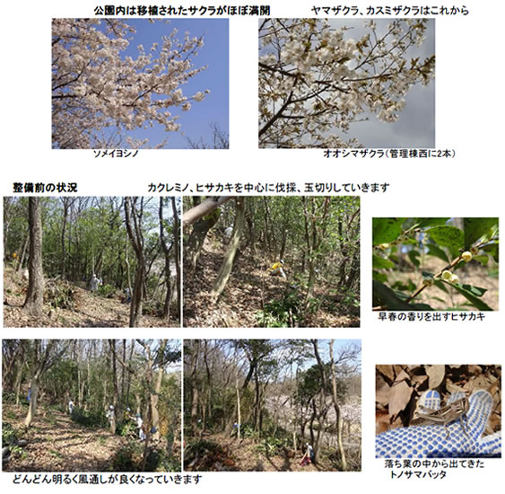 「ふれあいの里山」復活大作戦