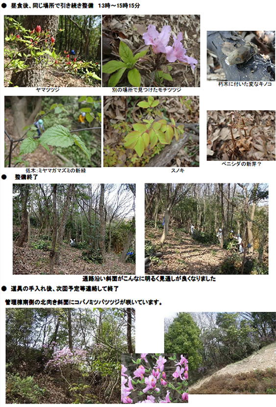 「ふれあいの里山」復活大作戦