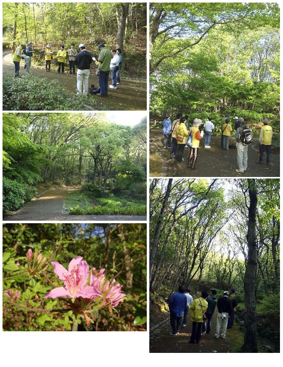 野鳥観察会 in 金ヶ崎公園